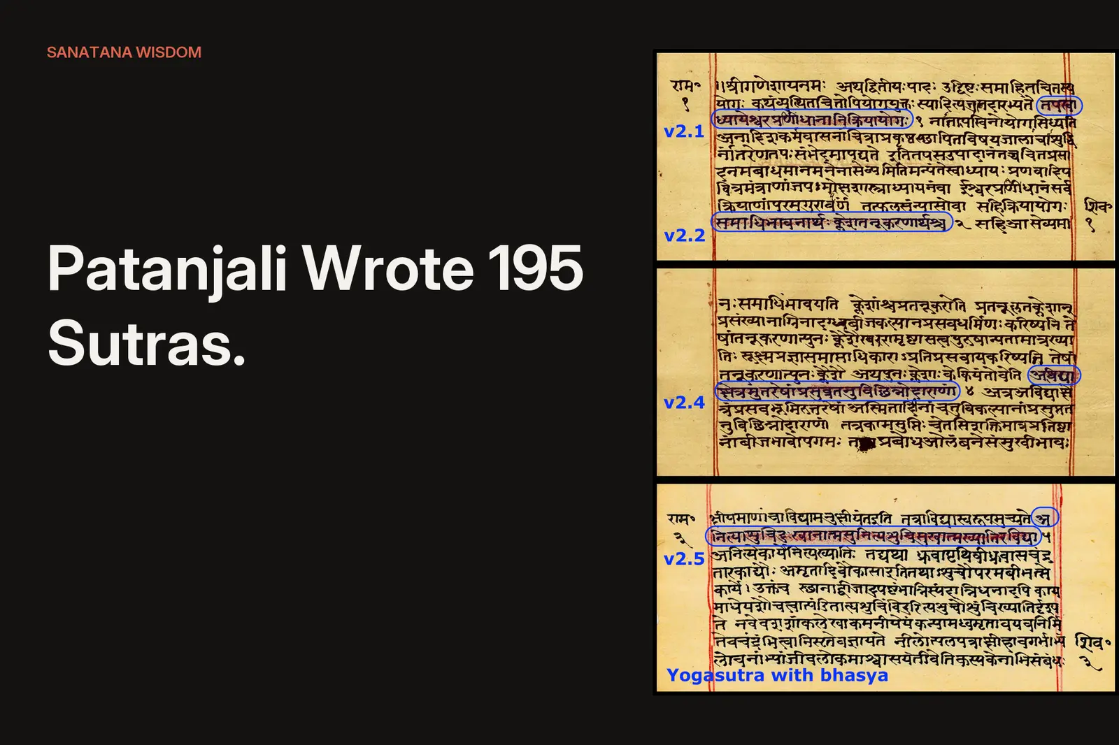 Patanjali Wrote 195 Sutras